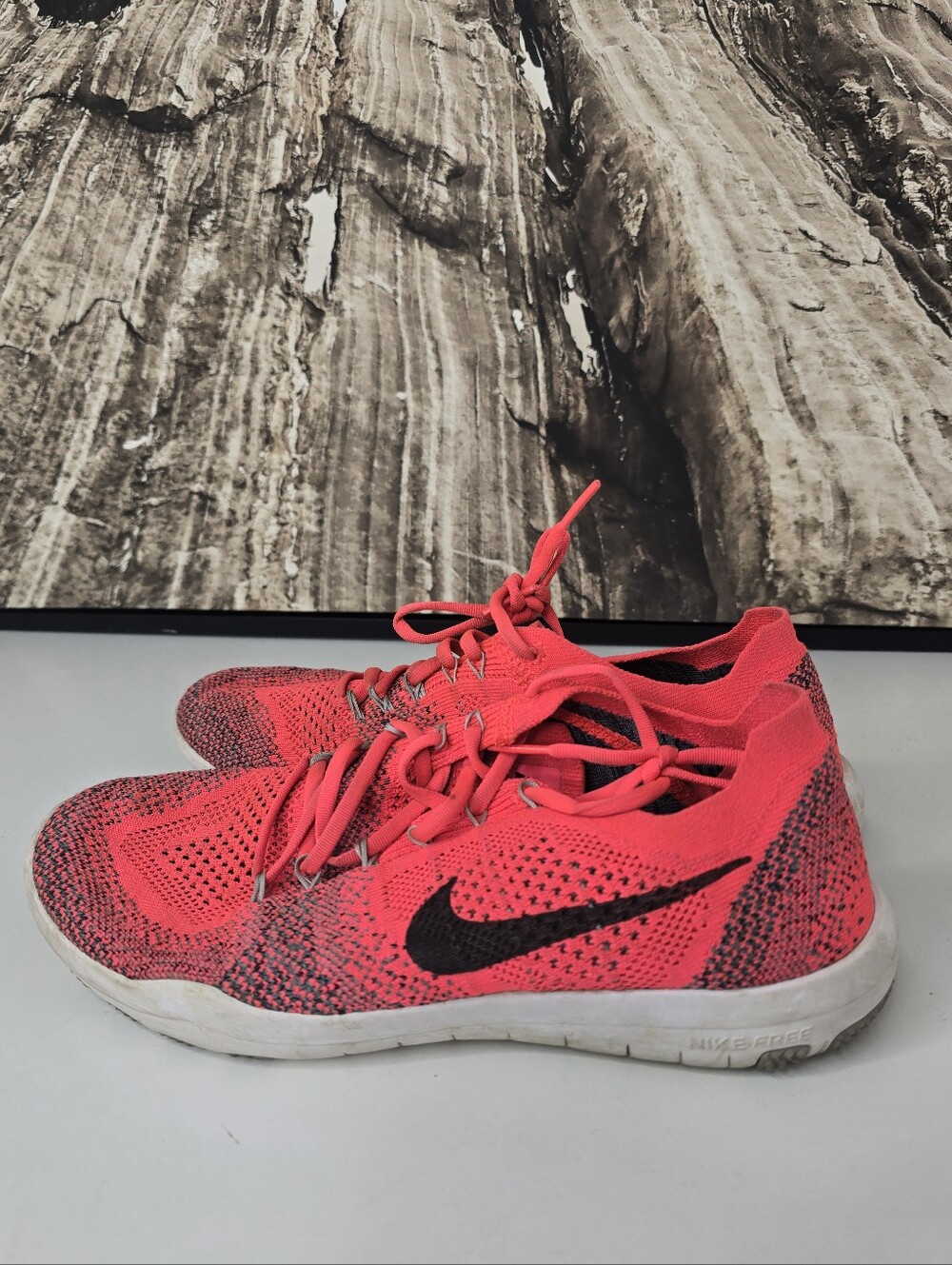 Nike Focus Flyknit Sunset